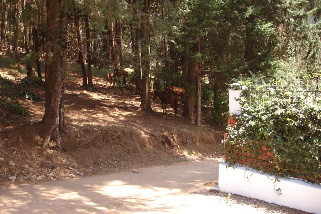 The Red House Bed & Breakfast Ooty Exterior foto